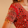 Rosette Mirror Elegance Saree