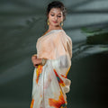The Ambar Chaya - Organza Saree